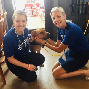 Team Page: Alex Milshteyn Real Estate